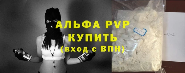 крисы Пересвет