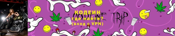 крисы Пересвет