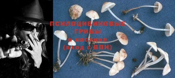 круглые Богданович