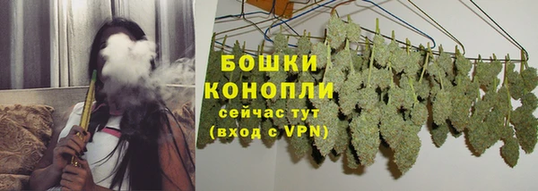 крисы Пересвет