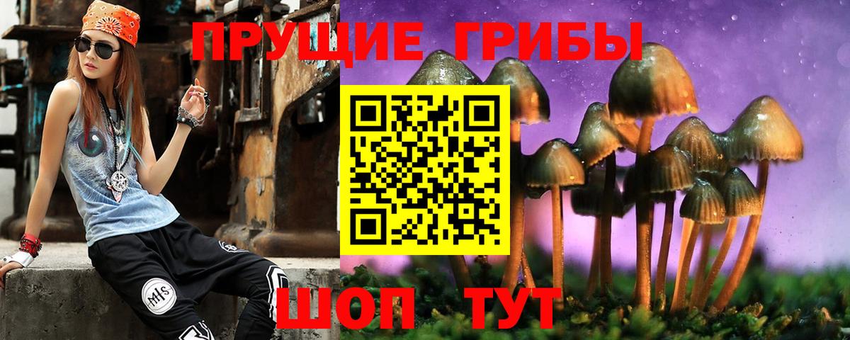 Галлюциногенные грибы Magic Shrooms  Киржач  Галлюциногенные грибы Cubensis 