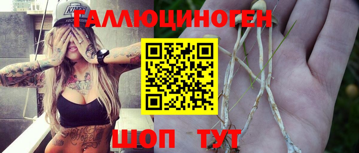 Псилоцибиновые грибы Cubensis Киржач