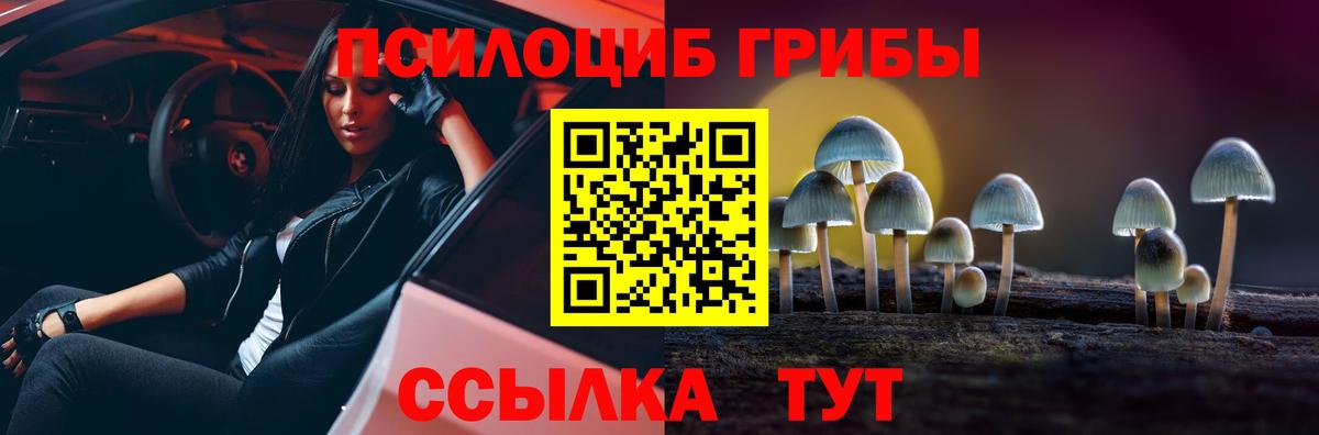Псилоцибиновые грибы MAGIC MUSHROOMS Киржач
